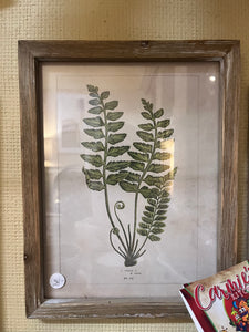 Botanical Print 1 - Harris